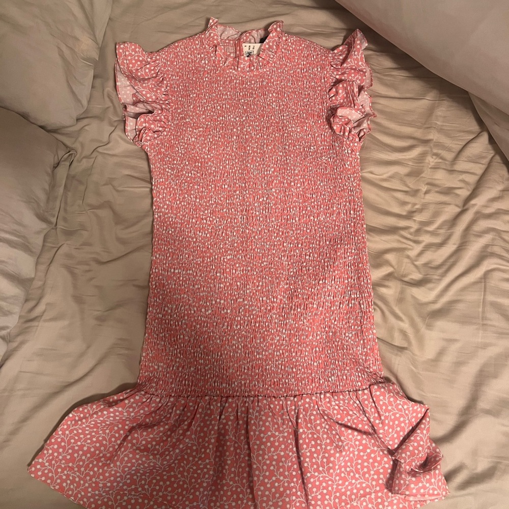 Small, Pink, French Connection Dress.